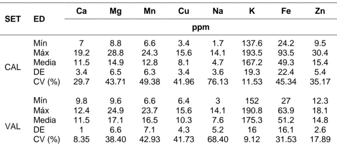 Tabla 4. Análisis estadístico de los minerales en el clon 206. 