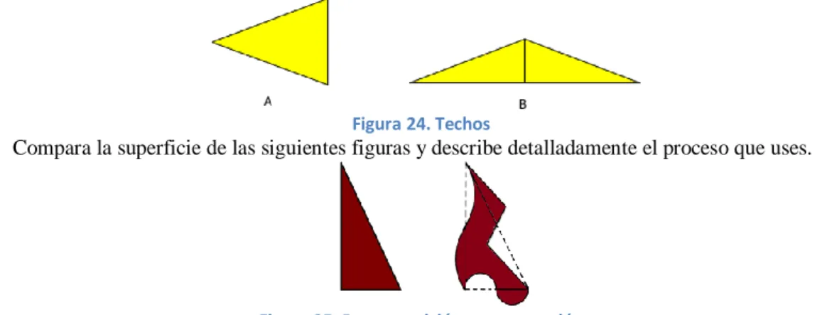 Figura 24. Techos
