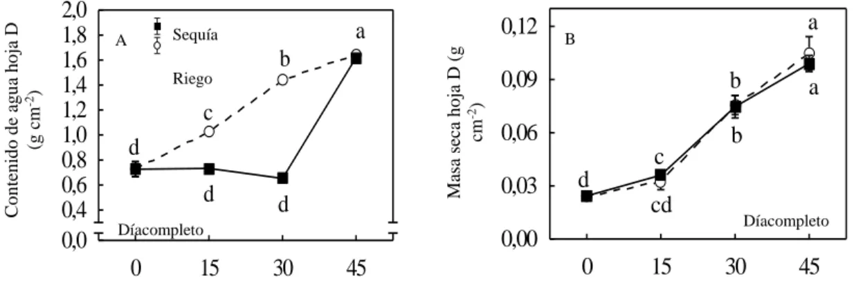 Figura 1. Respuesta del contenido de agua (A) y masa seca (B) de la hoja D de plantas micropropagadas de piña ‘MD-2’ 