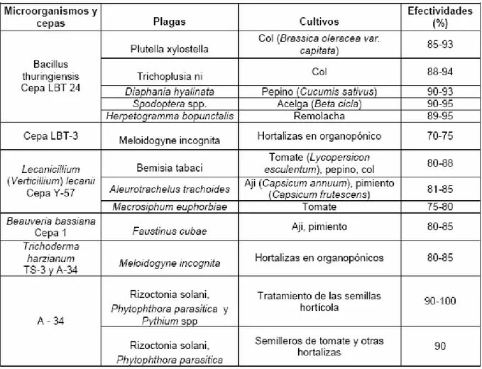 Tabla I.1. Efectividad de diferentes bioplaguicidas sobre plagas en organopónicos en Cuba 