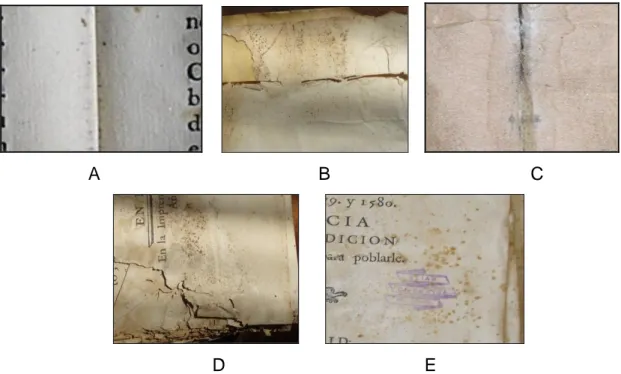 Figura 12. Alteraciones presumiblemente causadas por hongos en la Colección  de Libros Raros con Valor Patrimonial del Archivo Coronado