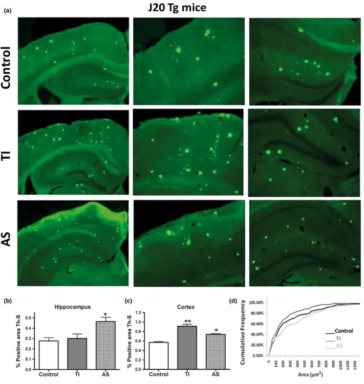 Fig. 5 Loss of the canonical Wnt pathway in J20 Tg mice accelerates the development of senile plaques