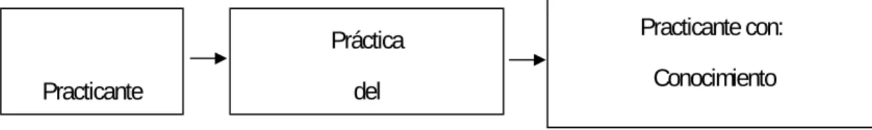 Fig. 1. Flujo de la práctica del ejercicio físico. 