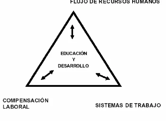 Fig. 1.  Subsistemas y políticas del modelo de GRH DPC 