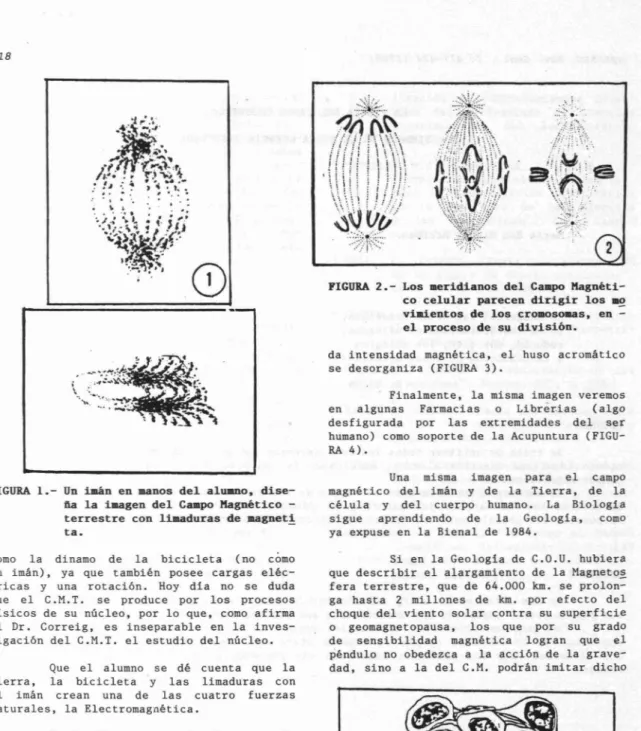 FIGURA 1.- Un iaán en manos del a lu.no. dise- dise-ña la imagen del Campo Magné t i co  -terrestre con limadura s d e magn et! ta o