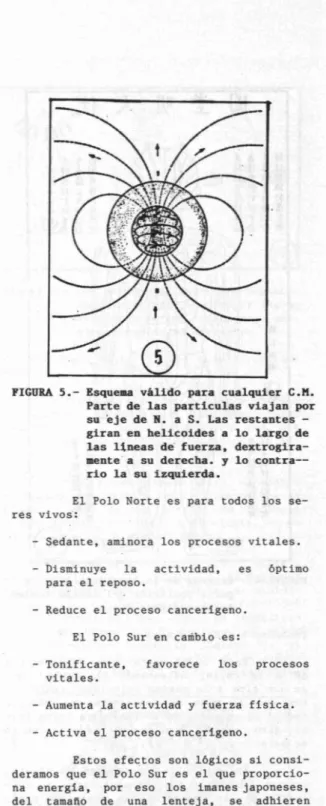 FIGURA 5.- Esquema válido para cualquier C.M. Parte de las particulas viajan por su eje de N