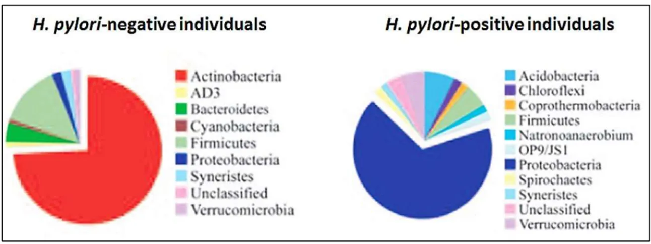 Figura 5: Composición diferencial de la microbiota gástrica de acuerdo al estado de infección por H