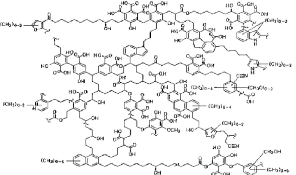 Figura 3. Estructura propuesta de un ácido húmico por Hatcher et al. (1994). 