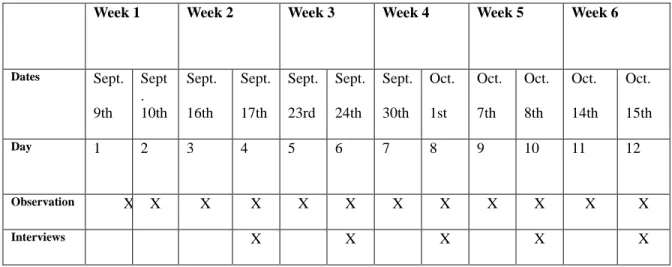 Table 3. Data collection schedule. 