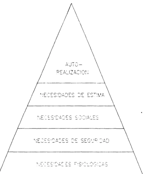 GRÁFICO NB 6