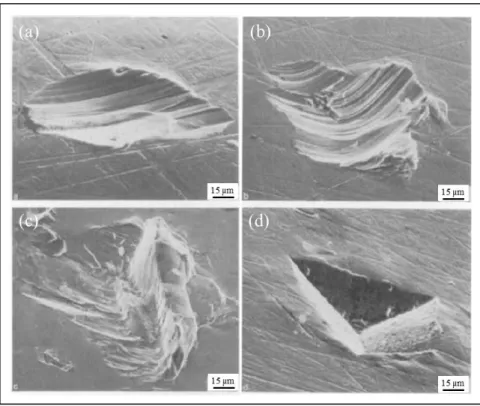 Figure 2.5 Examples of simple-impact craters at different angles of impingement. (a) Micromachining- Micromachining-type craters; (b) Plowing-Micromachining-type craters; (c) Lip formation-Micromachining-type craters; (d) Indentation-Micromachining-type cr