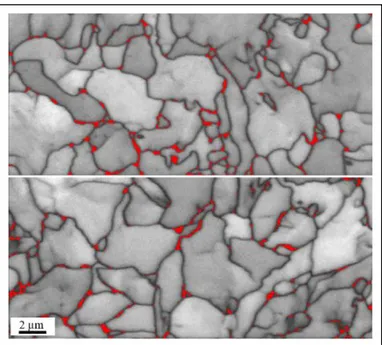 Figure 4.1 Representative images of X65 steel microstructure. Gray areas correspond to ferrite; Red areas  correspond to perlite