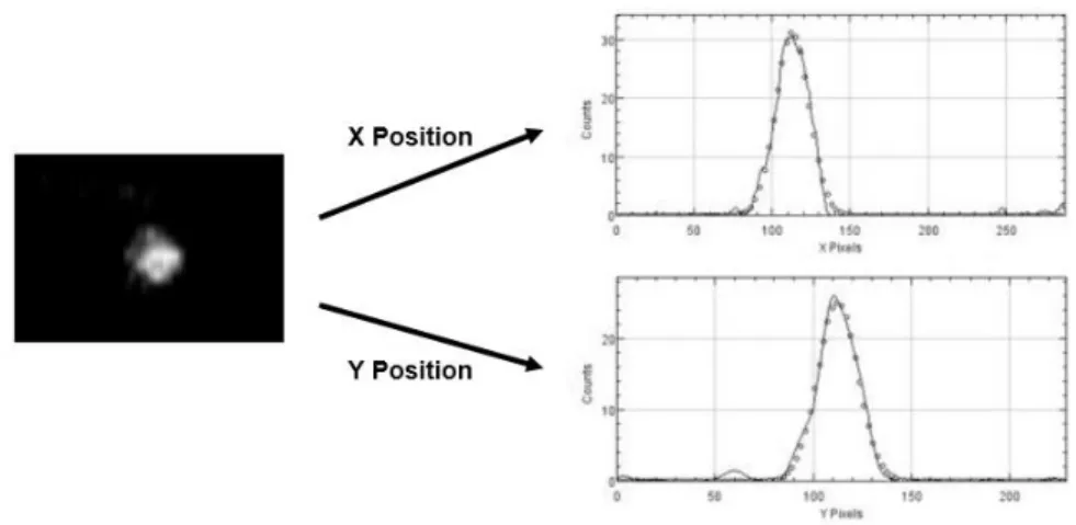 Figure 8. Determination of X and Y position of a single receptor in a single frame. (Left) A scanned  P2X4 receptor is shown