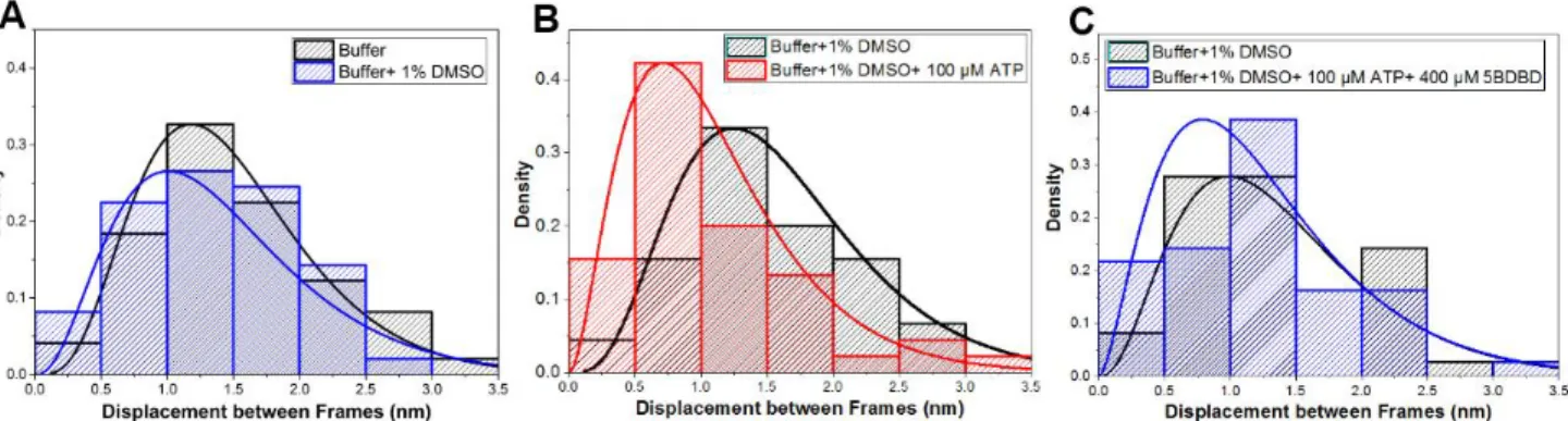 Figure 11. Cumulated squared displacements of P2X4 receptors at different pharmacological  conditions