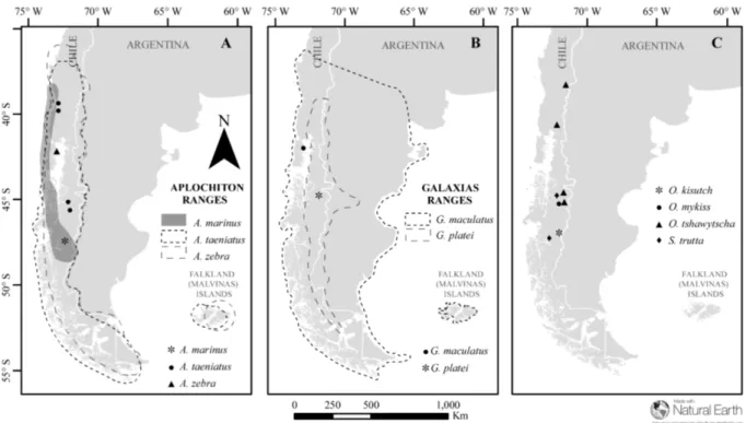 Figure 2. Map of sampled species and locations across Patagonia. 