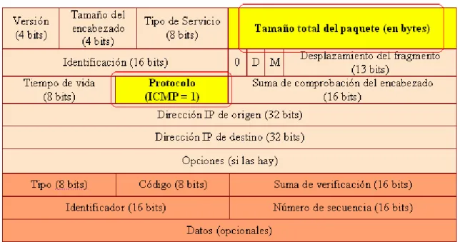 Figura 2.4.  El protocolo debe ser (ICMP = 1) y el tamaño total mayor a 1024                                 bytes
