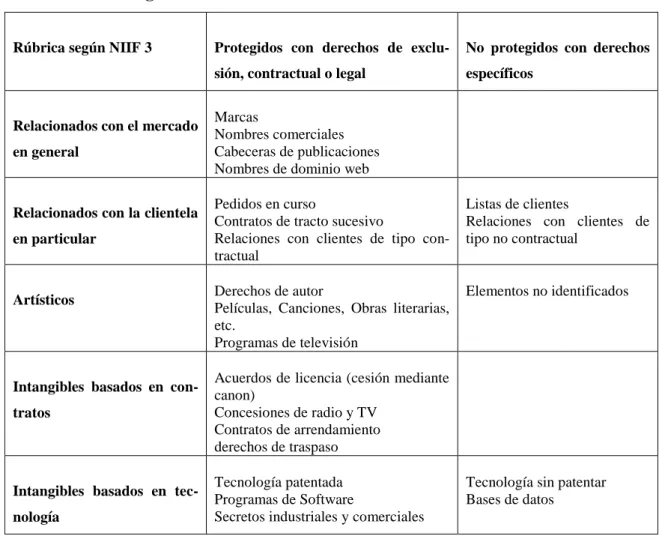 Cuadro 11. Intangibles 