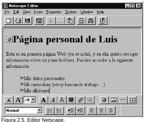 Figura 2.5. Editor Netscape. 