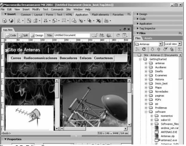 Figura 2.7. Editor Dreamweaver. 