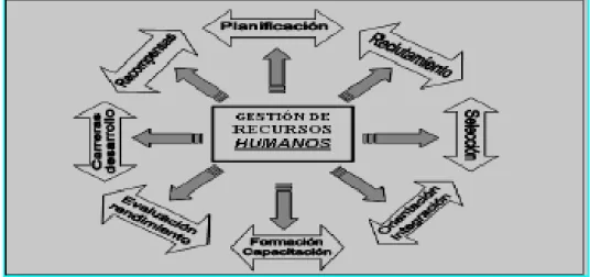 Figura 1.2 Proceso de Gestión de Recursos Humanos 