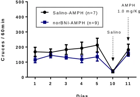 Figura 6. Curso temporal de la sensibilización locomotora a anfetamina. 