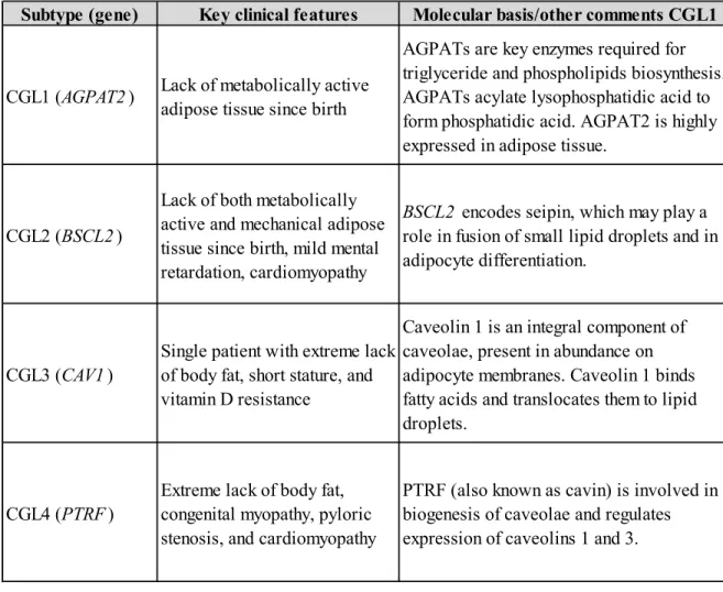 TABLE  1.  Classification,  clinical  features,  and  molecular  bases  of  congenital  generalized  lipodystrophy (CGL) syndromes