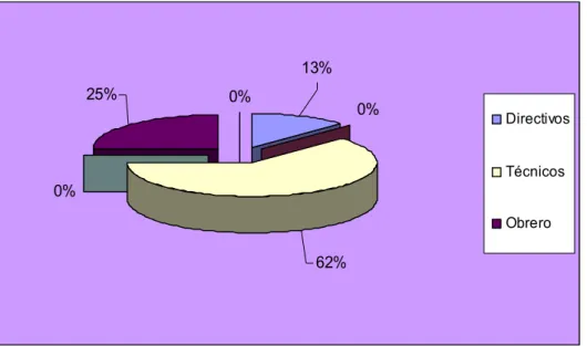 Fig. 4 Por ciento de trabajadores por categoría ocupacional.