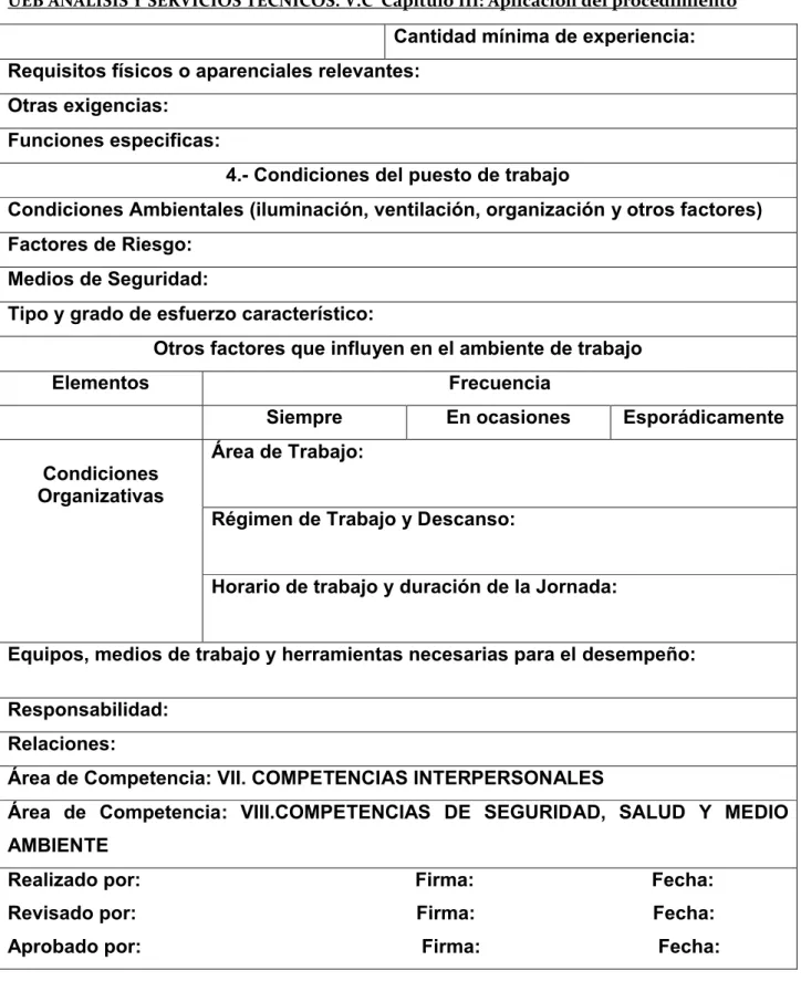 Figura 11: Formato de perfil de competencias.