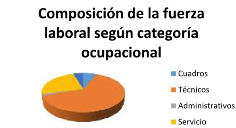 Figura 2.2: Trabajadores por categoría ocupacional. Fuente: Elaboración propia.