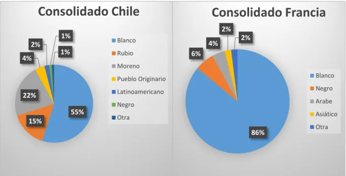 Gráfico 5. Percepción de los distintos grupos étnicos, en programas televisivos de Chile y Francia  (Bravo, 2016, p.159) 