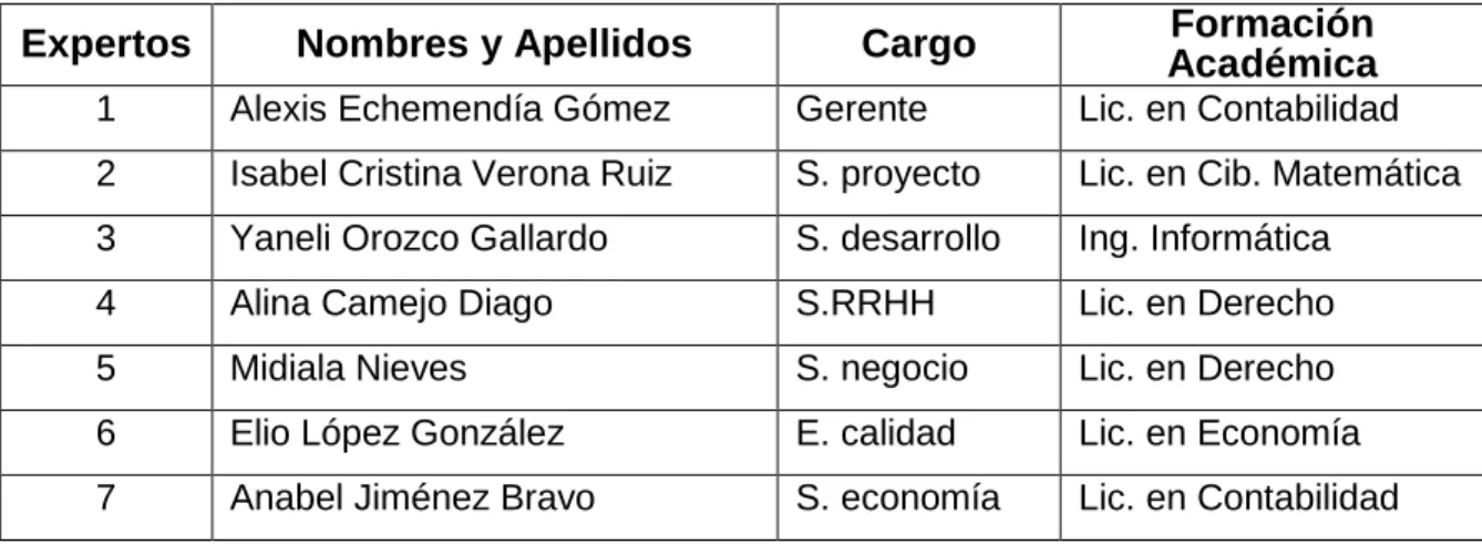 Tabla 5. Relación de integrantes del grupo de trabajo 