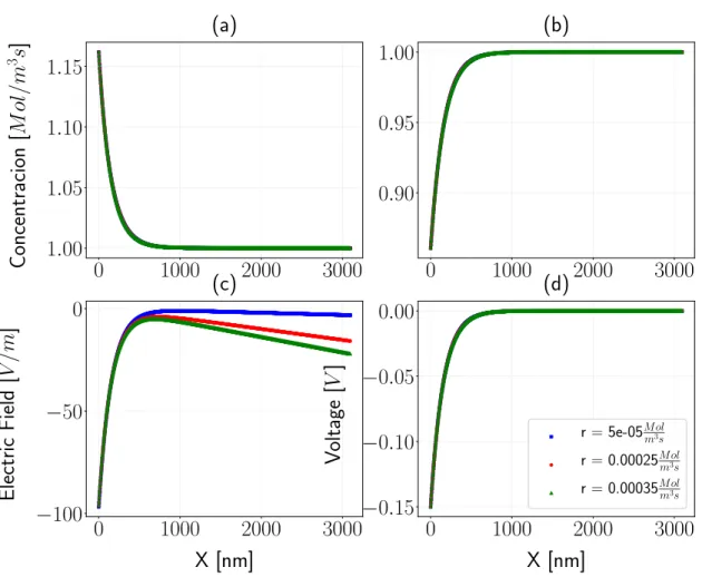 Figure 4.1: Analytic results. (a), (b) are the concentrations of each species of electrolytes