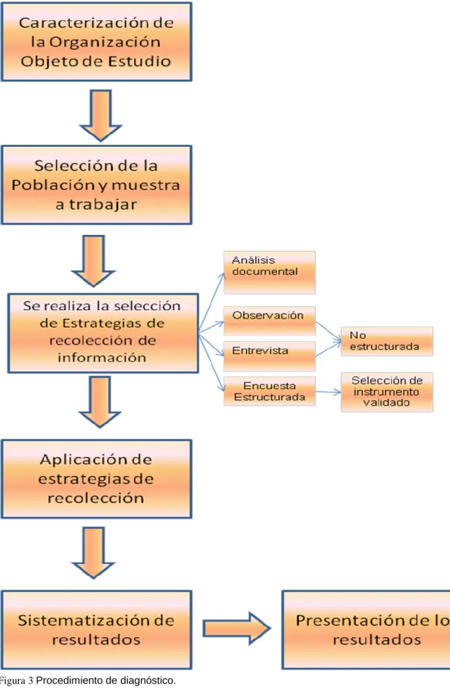 Figura 3 Procedimiento de diagnóstico. 