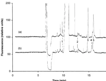 Fig. 3. Electropherograms of pyrene metabolites isolated from the