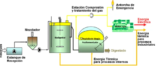 Figura  1.8: Esquema de reactores en sistemas de dos etapas (Moreno, 2011).