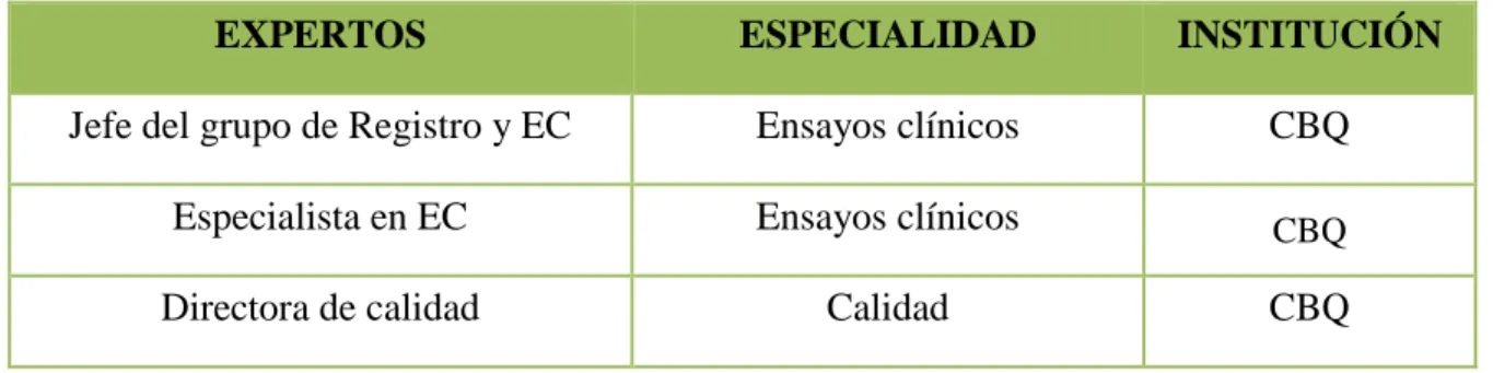 Tabla 2.1. Expertos que conforman el equipo de trabajo  