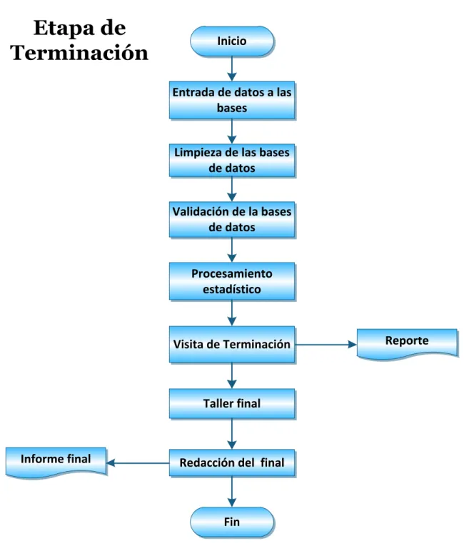 Fig. 2.4: Actividades de la etapa de ejecución en el proceso de EC.   
