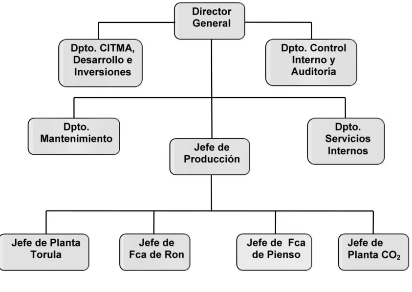Figura 2.1. Estructura organizativa de UEB Derivados de la Empresa Azucarera Cienfuegos