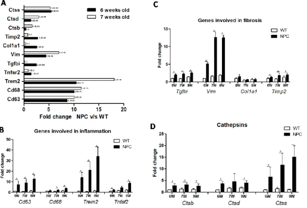 Figura 7: Genes cuya expresión cambia en hígados de ratones NPC comparados con los silvestres  (WT) analizados por PCR-tiempo real