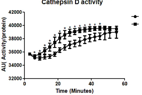 Figura 9: Aumento en la actividad de catepsina D en hígados de animales NPC. 