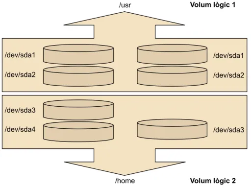 Figura 7. Esquema d'un exemple d'LVM.