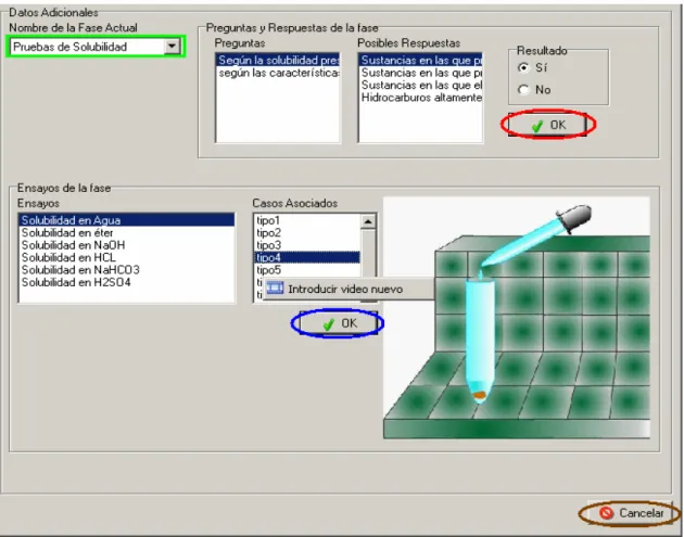 Figura 3.11: Sección “Datos adicionales”. 
