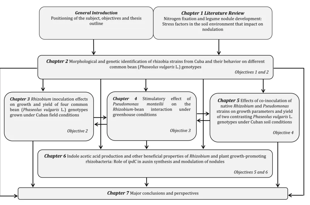 Figure 1. Diagram representing thesis outline. 1 