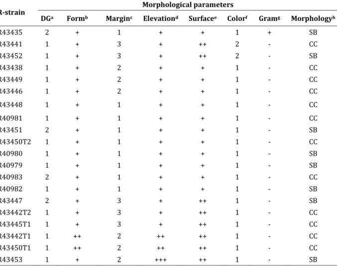 Table 2.3 Morphological characteristics of the isolated strains. 