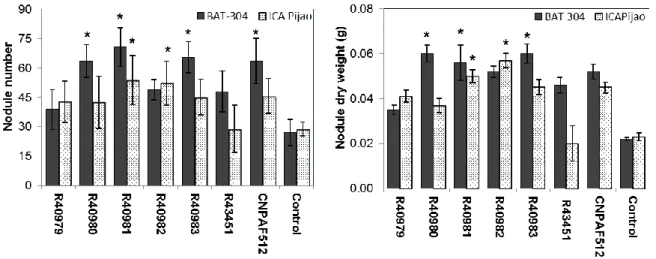 Table  2.6 Differences among  P. vulgaris L. genotypes BAT 304 and ICA Pijao  on plant growth  parameters following incolation