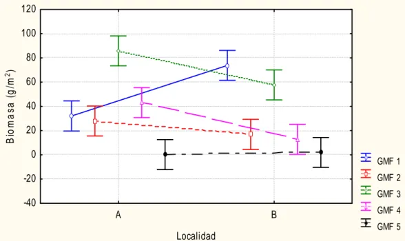 Figura 3. GMF con diferencias significativa entre las localidades (A=laguna,  B=playa, GMF1=macrófitas corticadas, GMF2= macrófitas coriáceas,  GMF3=calcáreas articuladas, GMF4= filamentosas, GMF=5 foliosas y  globosas)