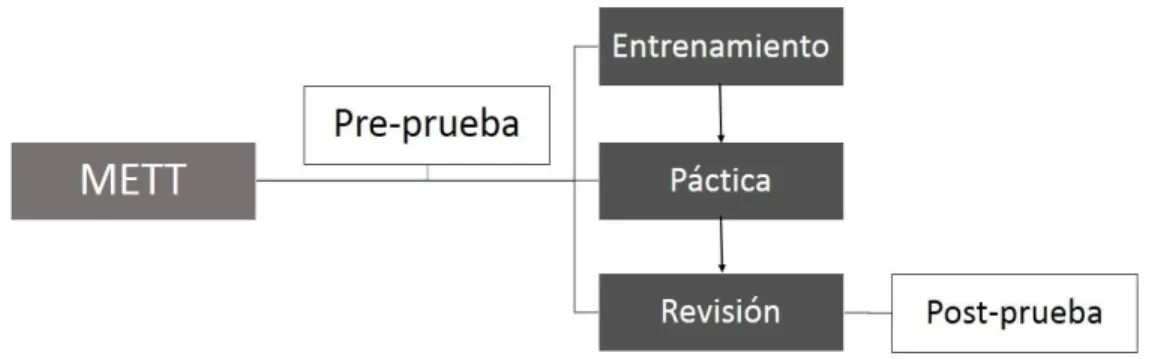 Figura 12. Estructura del Microexpression Training Tool (METT). 