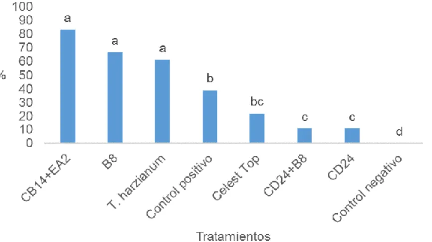 Figura  4.  Porcentaje  de  incidencia  de  damping-off  pre-emergente  en  semillas  tratadas  con  cepas  de  actinomicetos,  T