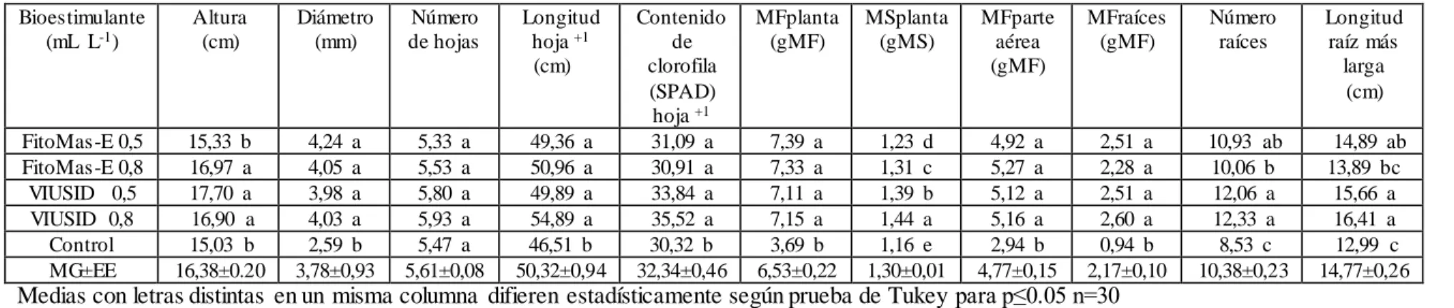 Tabla 7. Efecto de los bioestimulantes  sobre el crecimiento de las plantas in vitro de caña de azúcar (Saccharum spp.) cv