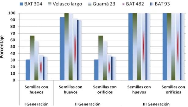 Figura  4.  Porcentaje  de  semillas  afectadas  en  tres  generaciones  de              Z